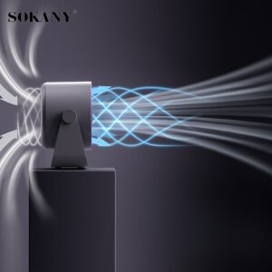 0201 quat de ba n ma n hi nh ky thua t so sokany skn 13823