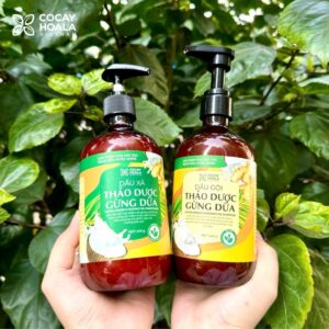 COMBO DẦU GỘI XẢ THẢO DƯỢC GỪNG DỪA CỎ CÂY HOA LÁ 440G SẠCH GÀU NGỨA -CCHL2