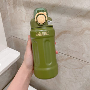 0245 binh inox 3d 800ml