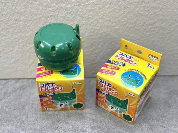 Hộp gel diệt ruồi giấm (dĩn), côn trùng Kokubo 4 z7200217218551 9293f209a5803f650a4fcf0deb880309