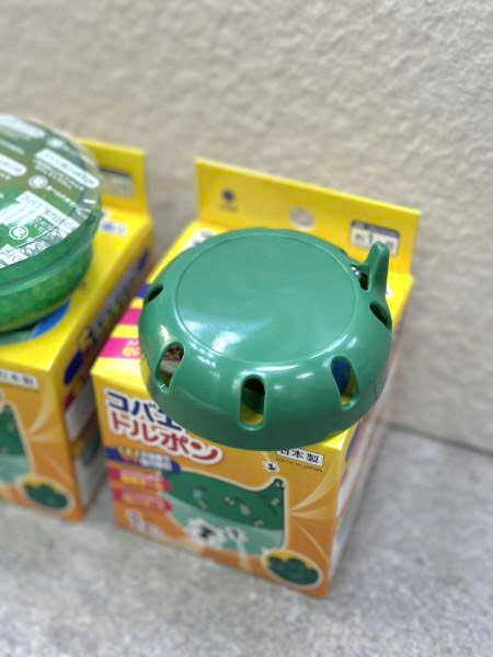 Hộp gel diệt ruồi giấm (dĩn), côn trùng Kokubo 6 z7200217273168 4ef14aab39cc0371490a565223c8e3dd