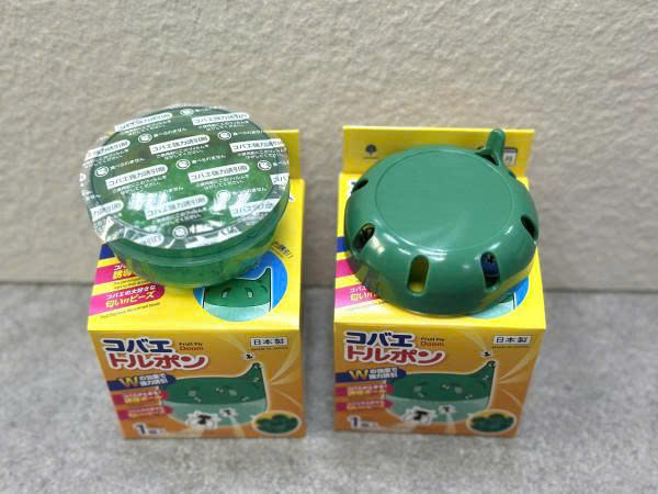 Hộp gel diệt ruồi giấm (dĩn), côn trùng Kokubo 1 z7200217327050 5232644bcc98e1864ae93fd9f9991fd3